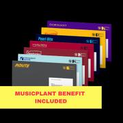 ENHYPEN - 8th mini album [THE SIN : BLISS] (ENGENE ver.) (7 TYPES Random) + MUSICPLANT POB