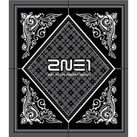2NE1 - NOLZA! (1ST LIVE CONCERT)