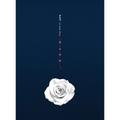 B.A.P - Rose ver B