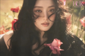 Plakat MINNIE - HER ver. PINK v1