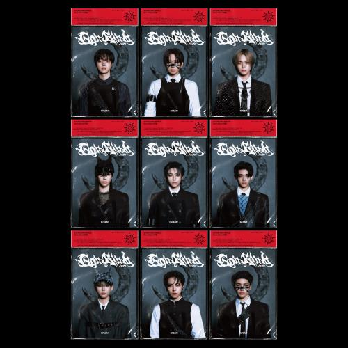 &TEAM - Go in Blind (3rd Single Album) (SOLO EDITION)