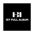 B.I - WATERFALL