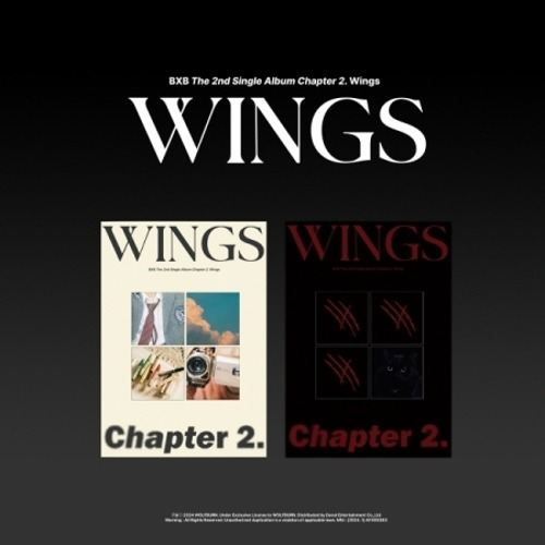 BXB - CHAPTER 2. WINGS