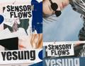 YESUNG - VOL.1 [SENSORY FLOWS]