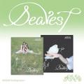 RESCENE - DEAREST