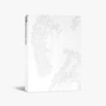 Preorder: V - ‘TYPE 非’