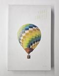 !!OTWARTE!! BTS - YOUNG FOREVER ver. DAY