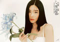 Plakat KWON EUN BI - THE FLASH