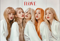 Plakat (G)I-DLE I LOVE ver. BORN