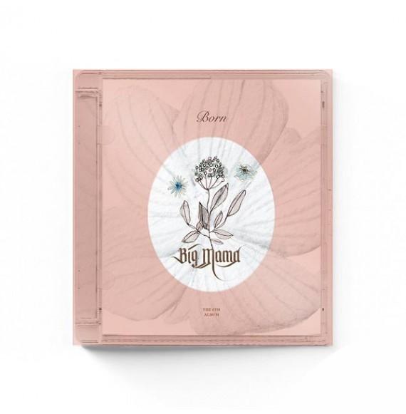 BIG MAMA - VOL.6 [BORN]