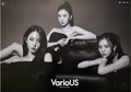 Plakat VIVIZ - VARIOUS v1