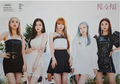 Plakat WOO!AH! - PIT-A-PAT v2