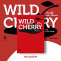 ICHILLIN' - WILD CHERRY (POCA ALBUM)