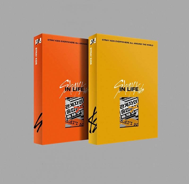 STRAY KIDS - VOL.1 REPACKAGE IN LIFE STANDARD VER.