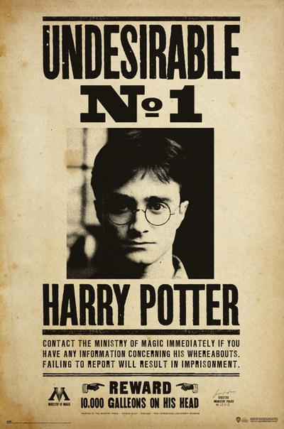 Plakat - Harry Potter Undesirable No 1 (GPE5607) — zdjęcie 2