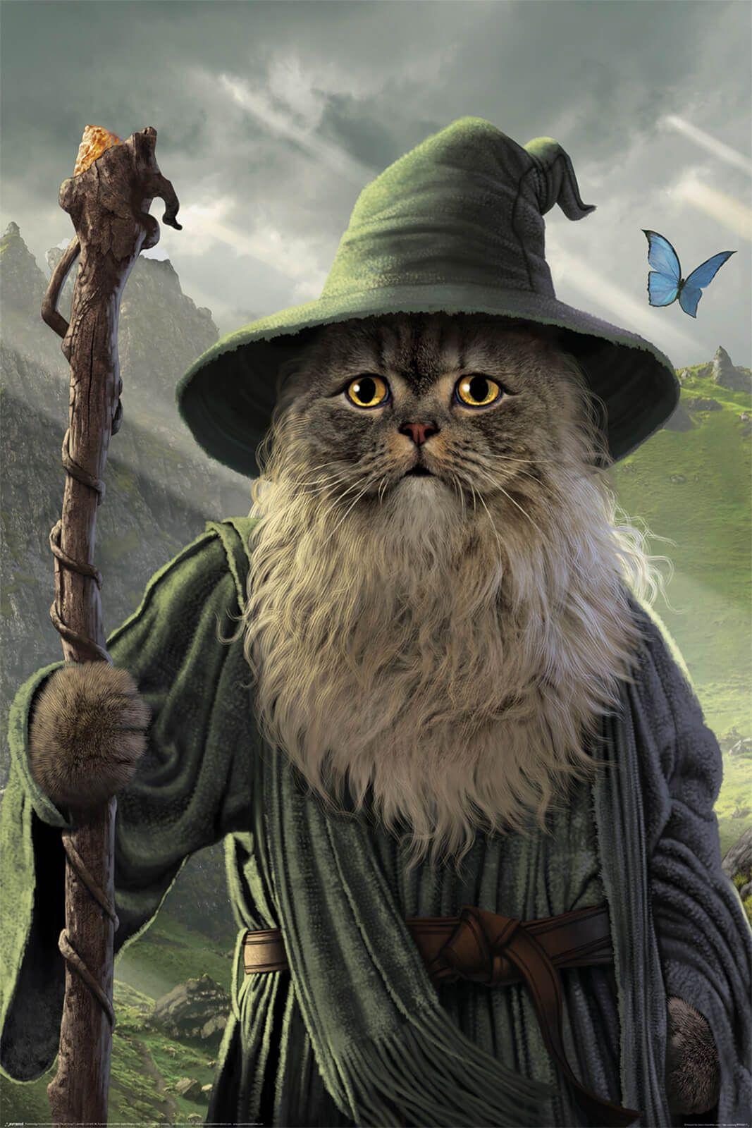 Plakat - Catdalf/Lord of the Rings (PP35217)
