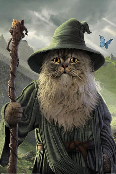 Plakat - Catdalf/Lord of the Rings (PP35217)